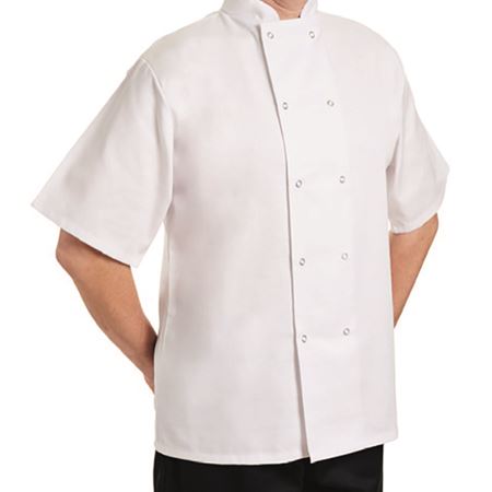 Picture of CHEF JACKET SHORT SLEEVE X SMALL