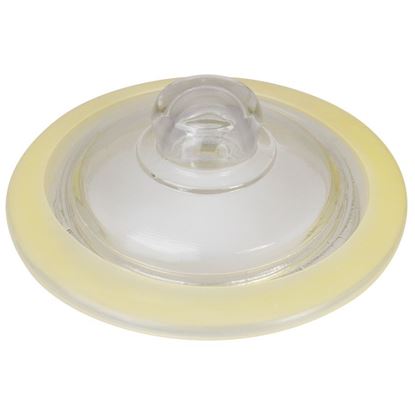 Picture of GLASS BISCOTTI JAR LID D:18.2cm